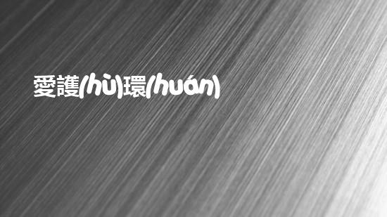 愛護(hù)環(huán)境，從手抄報開始